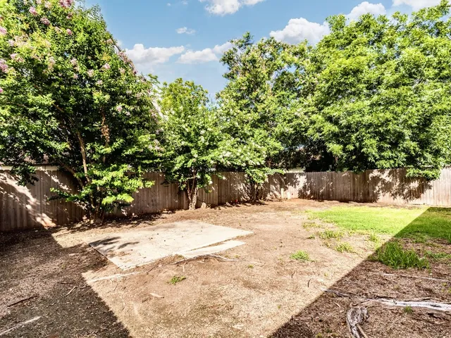 a view of a yard with plants and trees