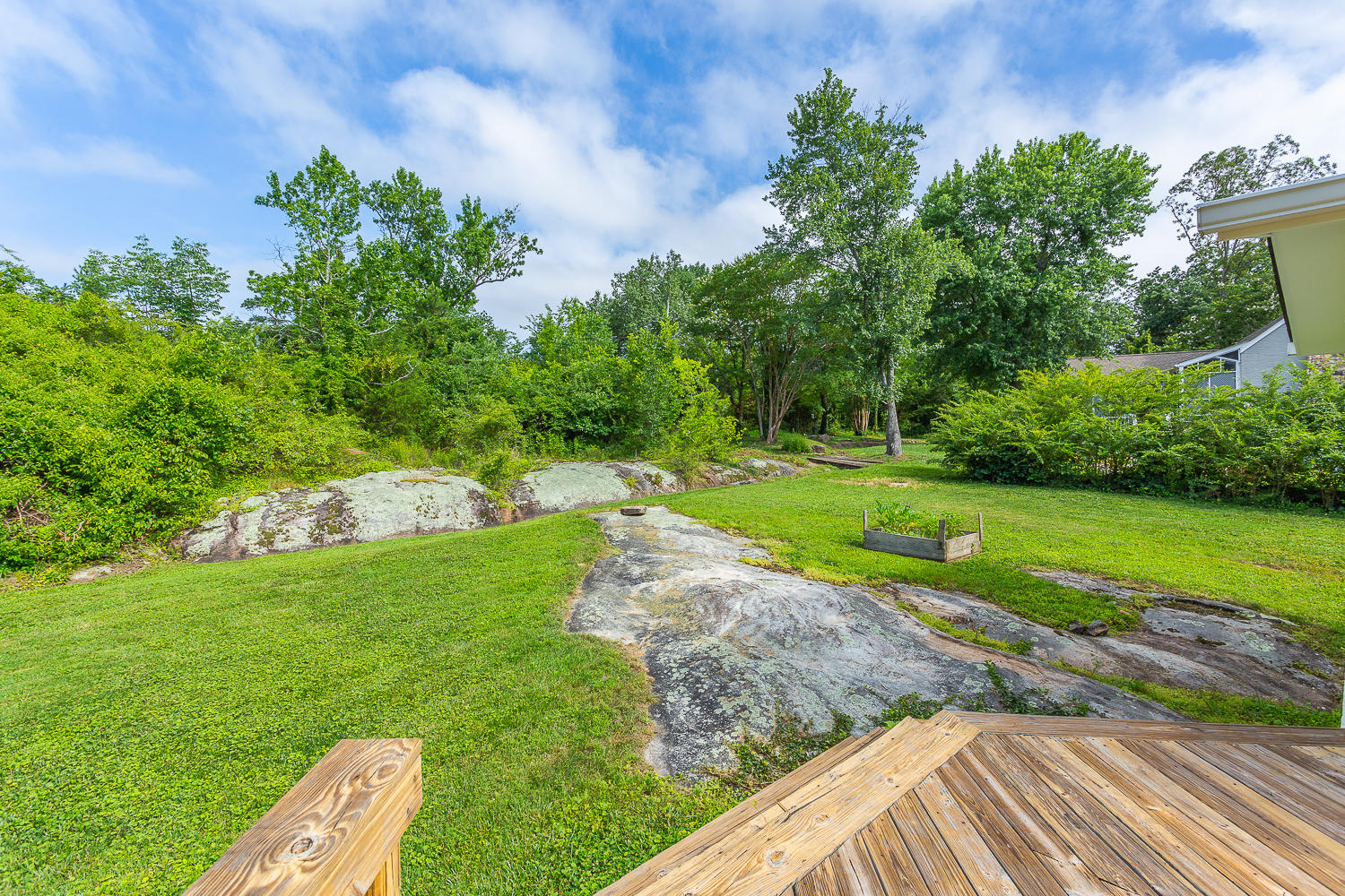 1502 Cinderella Road Lookout Mountain, GA 30750 - Photo 10 of 45 1502 Cinderella Yard 1