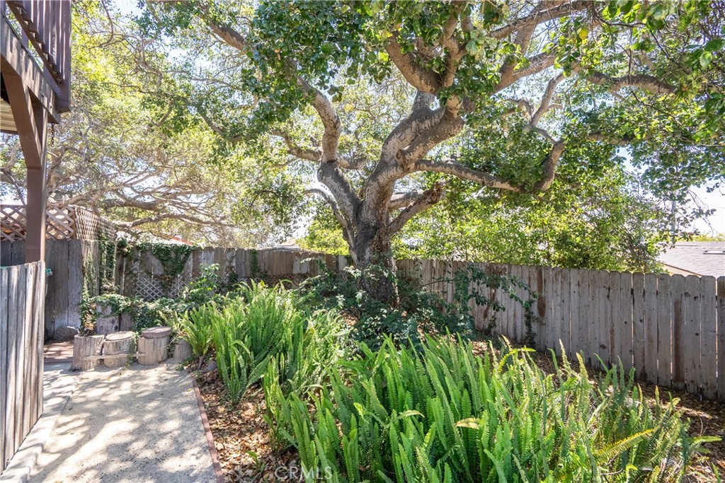 1747 Brighton Avenue Grover Beach, CA 93433 - Photo 38 of 50 a view of a garden with plants