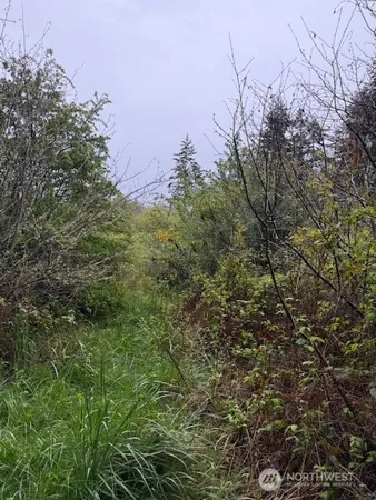 $150,000 | 3-nka Katherine Street, Port Townsend, WA 98368