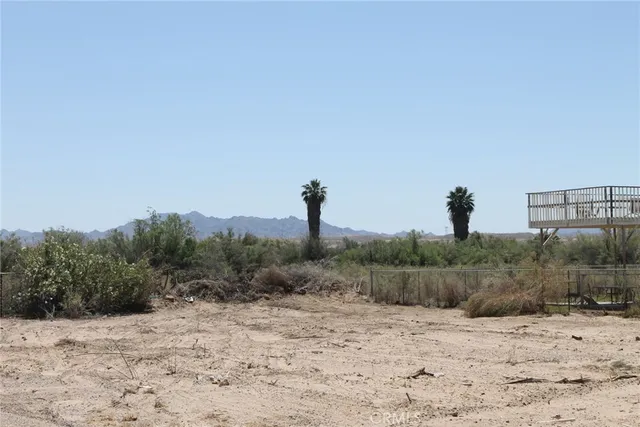 a view of a dry yard with trees