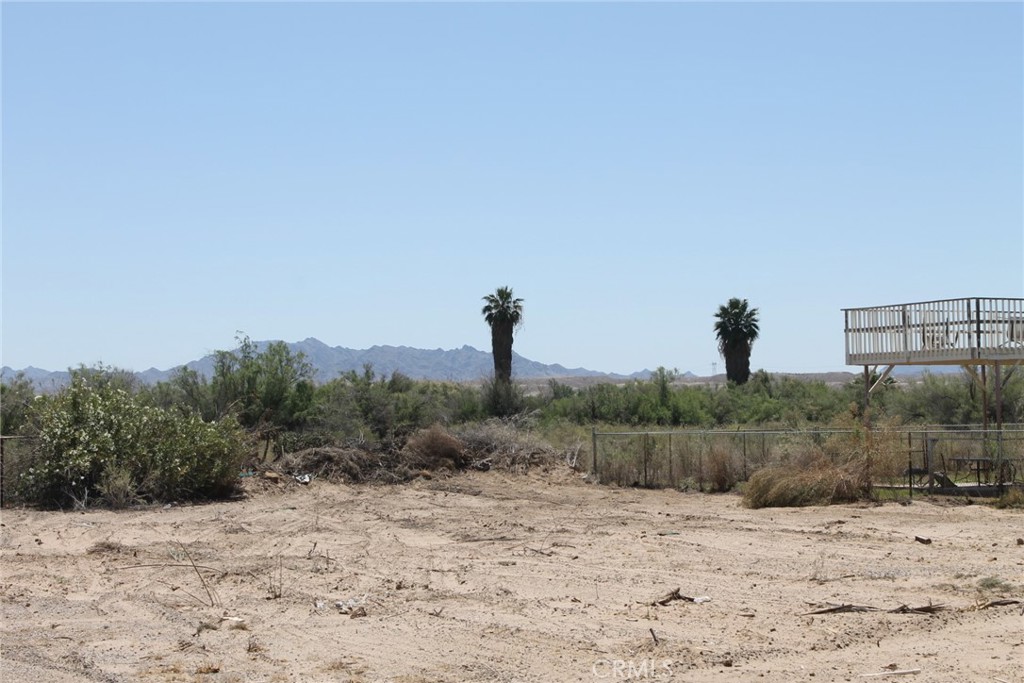 a view of a dry yard with trees