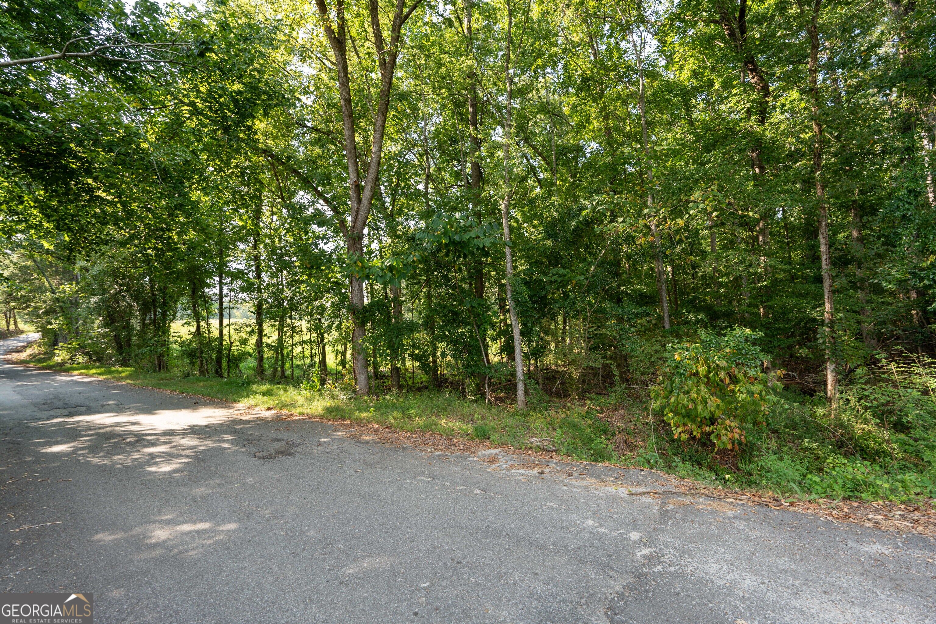 1419 Bobby Brown State Park Road Elberton, GA 30635 - Photo 68 of 90 Gallery Image 68