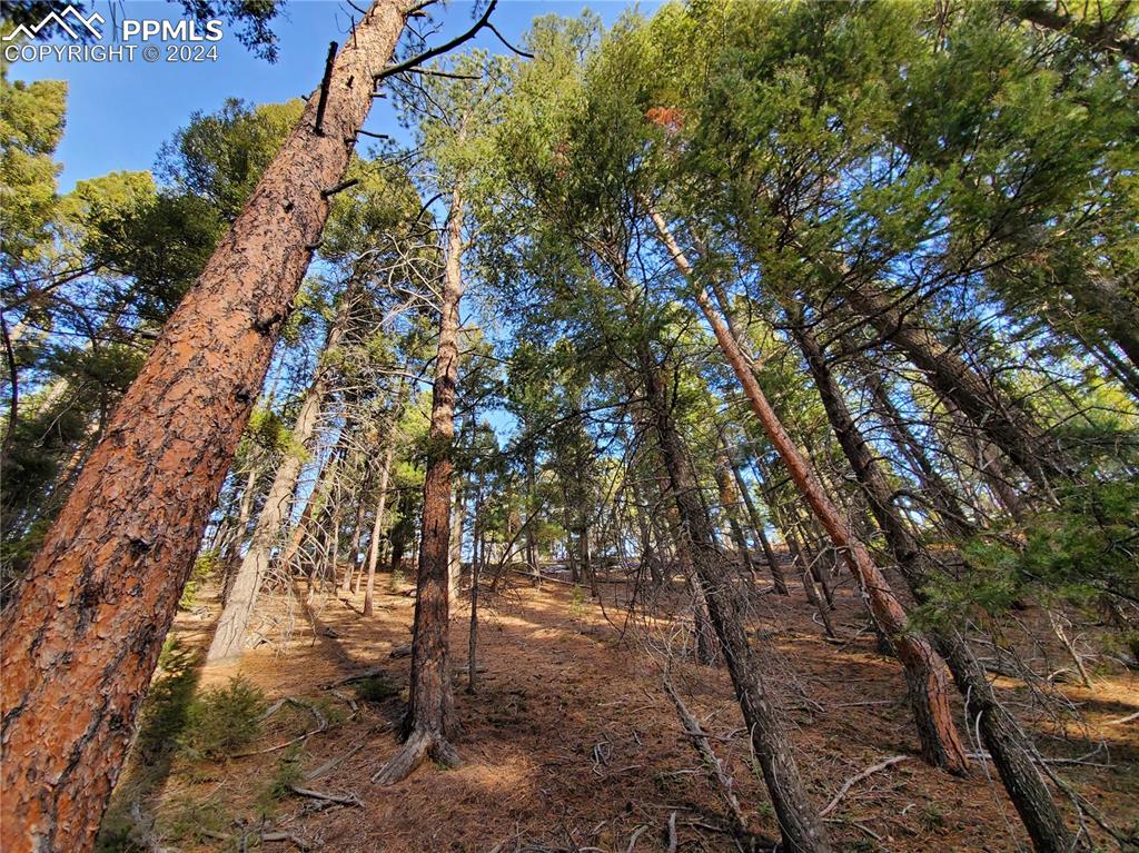 13985 South Boulder Ln  