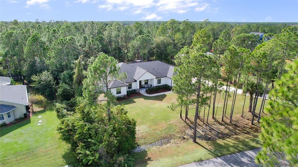 3262 Pheasant Trail Mims, FL 32754 - Photo 3 of 79
