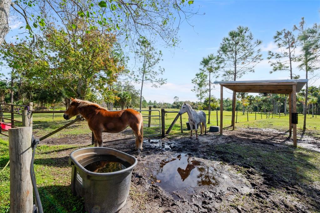 3262 Pheasant Trail Mims, FL 32754 - Photo 75 of 79