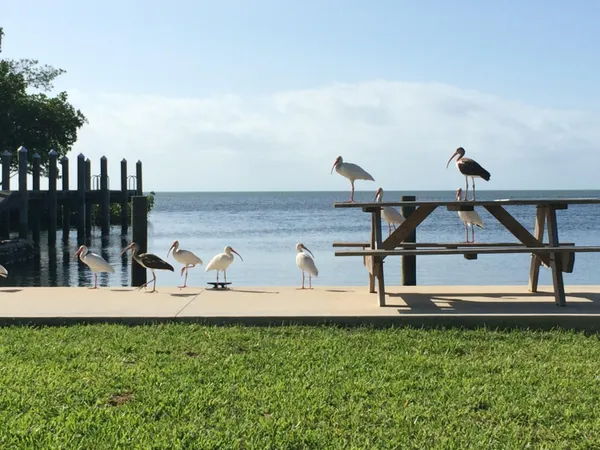 $12,999,999 | 21470 Overseas Highway, Cudjoe, FL 33042