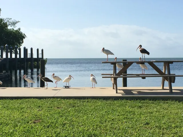 $12,999,999 | 21470 Overseas Highway, Cudjoe, FL 33042