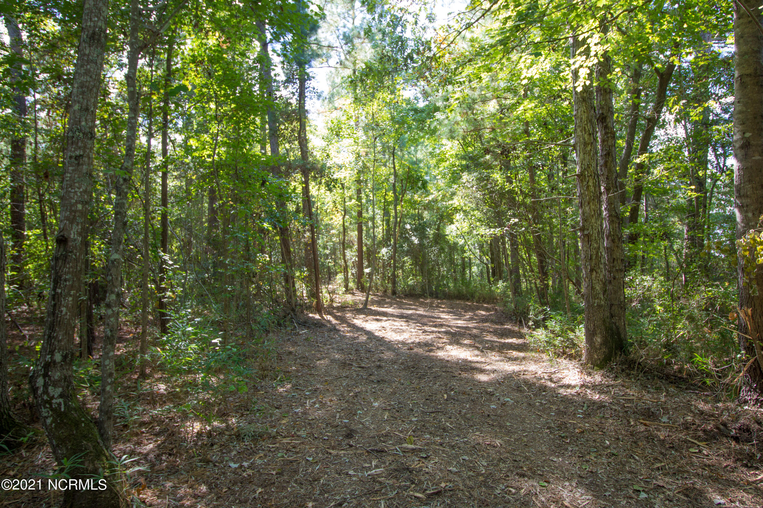 77 Wheat Patch Road Belhaven, NC 27810 - Photo 7 of 26 IMG_3532a