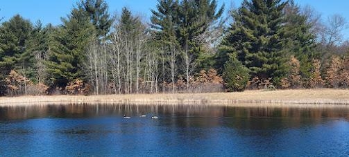 Lot 16 19th Arkdale, WI 54613 - Photo 5 of 9