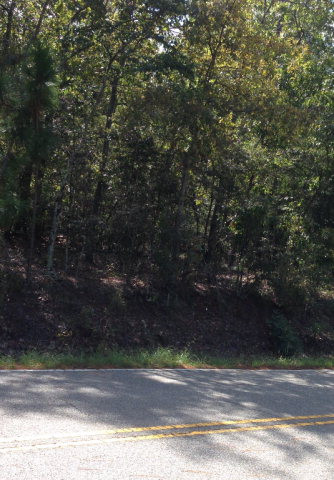 0 Chime Bell Church Road Aiken, SC 29803 - Photo 1 of 1