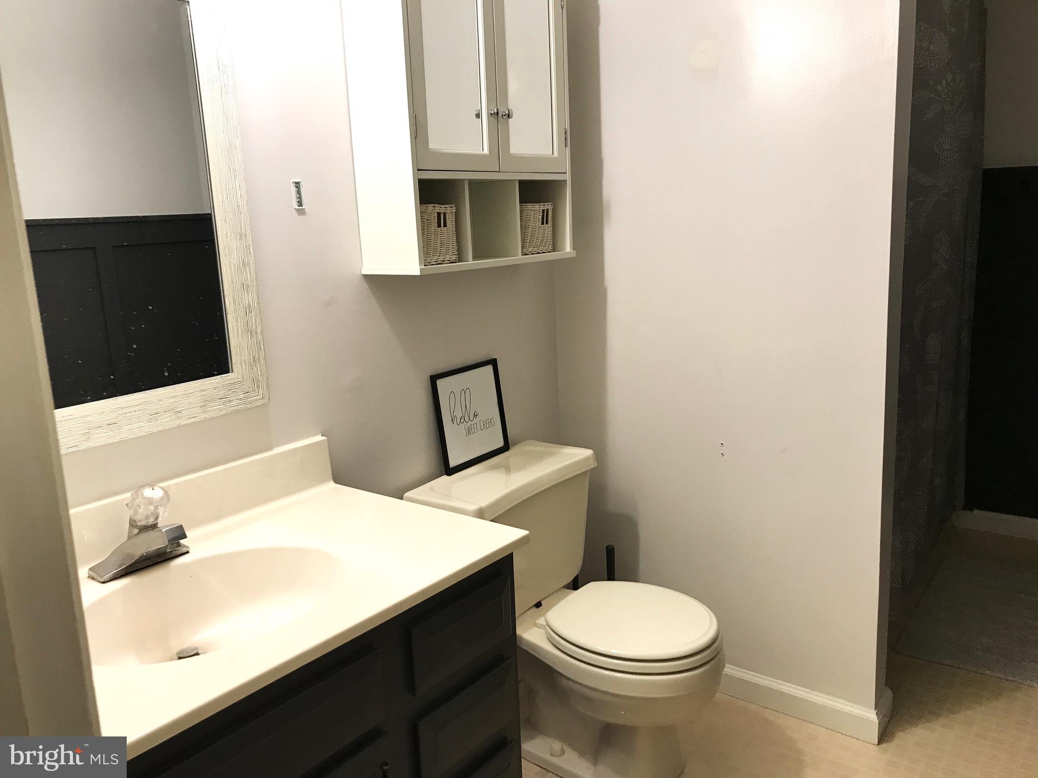 60-6 Mint Tier Reading, PA 19606 - Photo 29 of 50 a bathroom with a sink a toilet and mirror