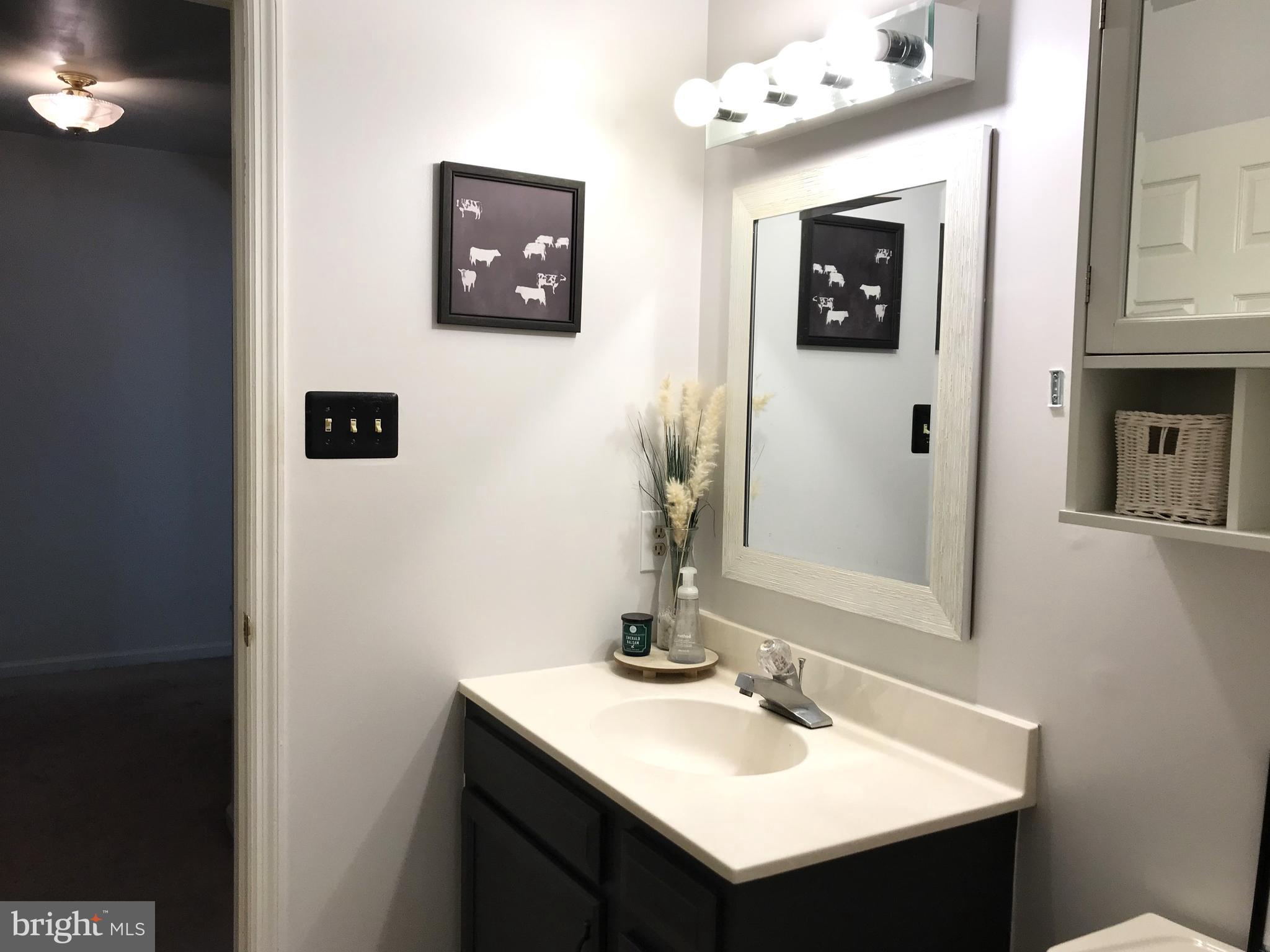 60-6 Mint Tier Reading, PA 19606 - Photo 30 of 50 a bathroom with a sink vanity and mirror