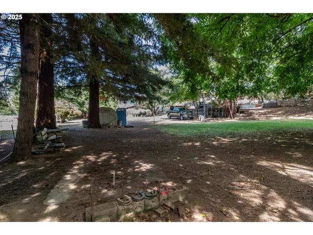 a picture of street view with trees