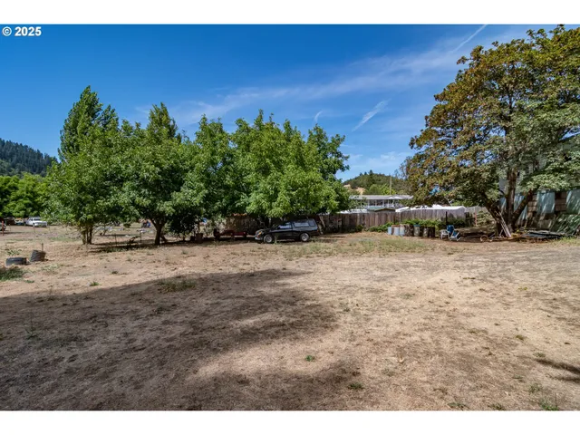 a view of a yard with an trees