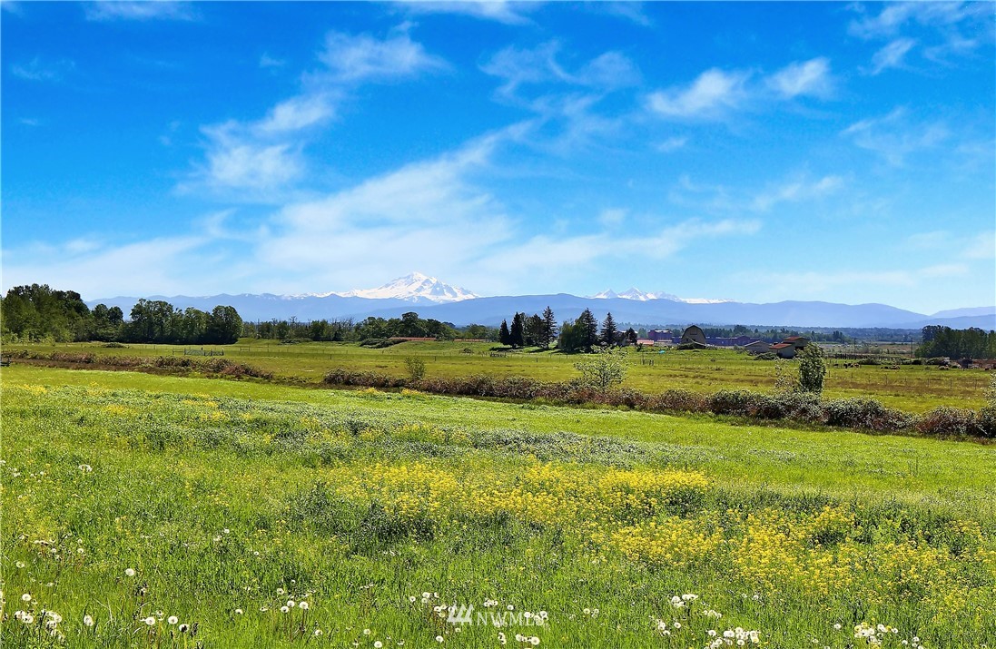 5044 Elder Road Ferndale, WA 98248 - Photo 25 of 25
