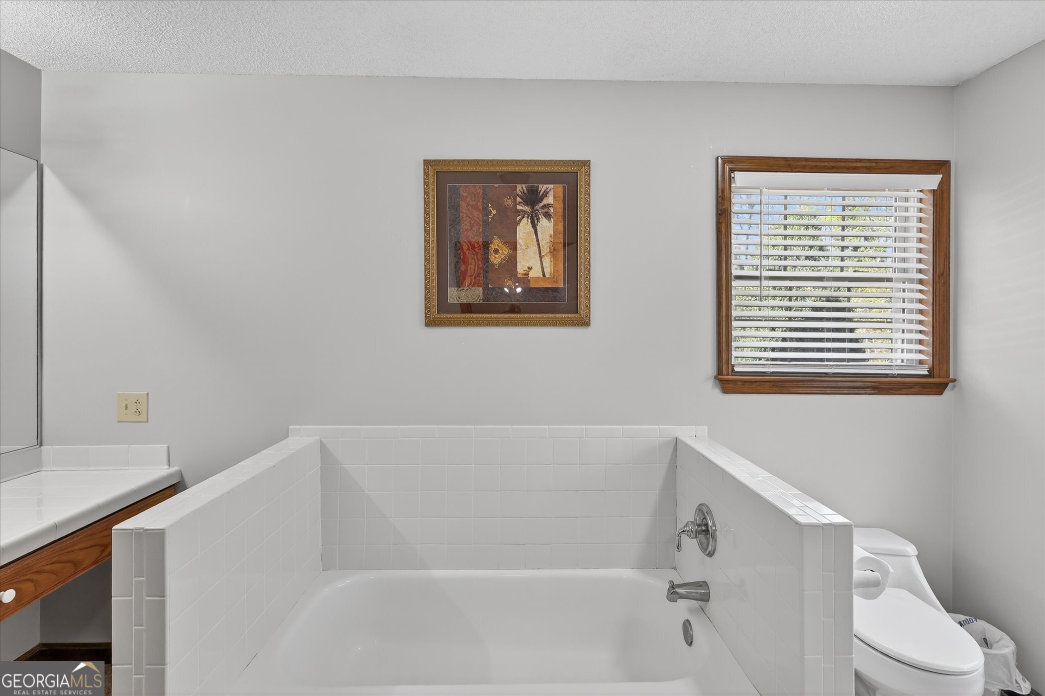 241 Waters Station Road Sylvania, GA 30467 - Photo 17 of 45