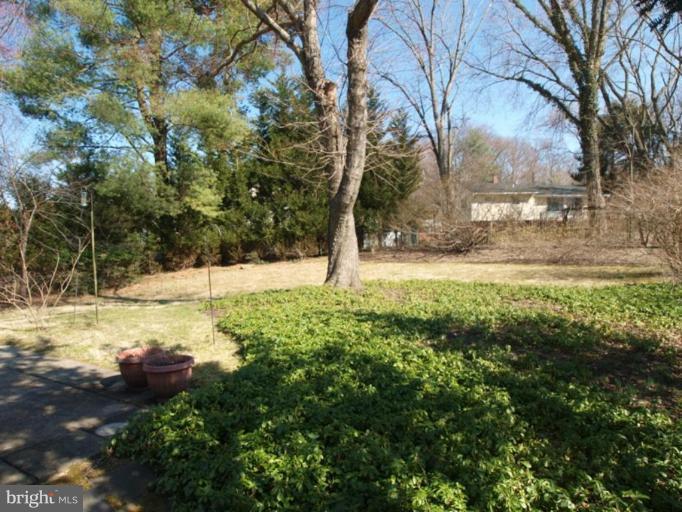 11607 Gilsan Street Silver Spring, MD 20902 - Photo 22 of 25 Back yard