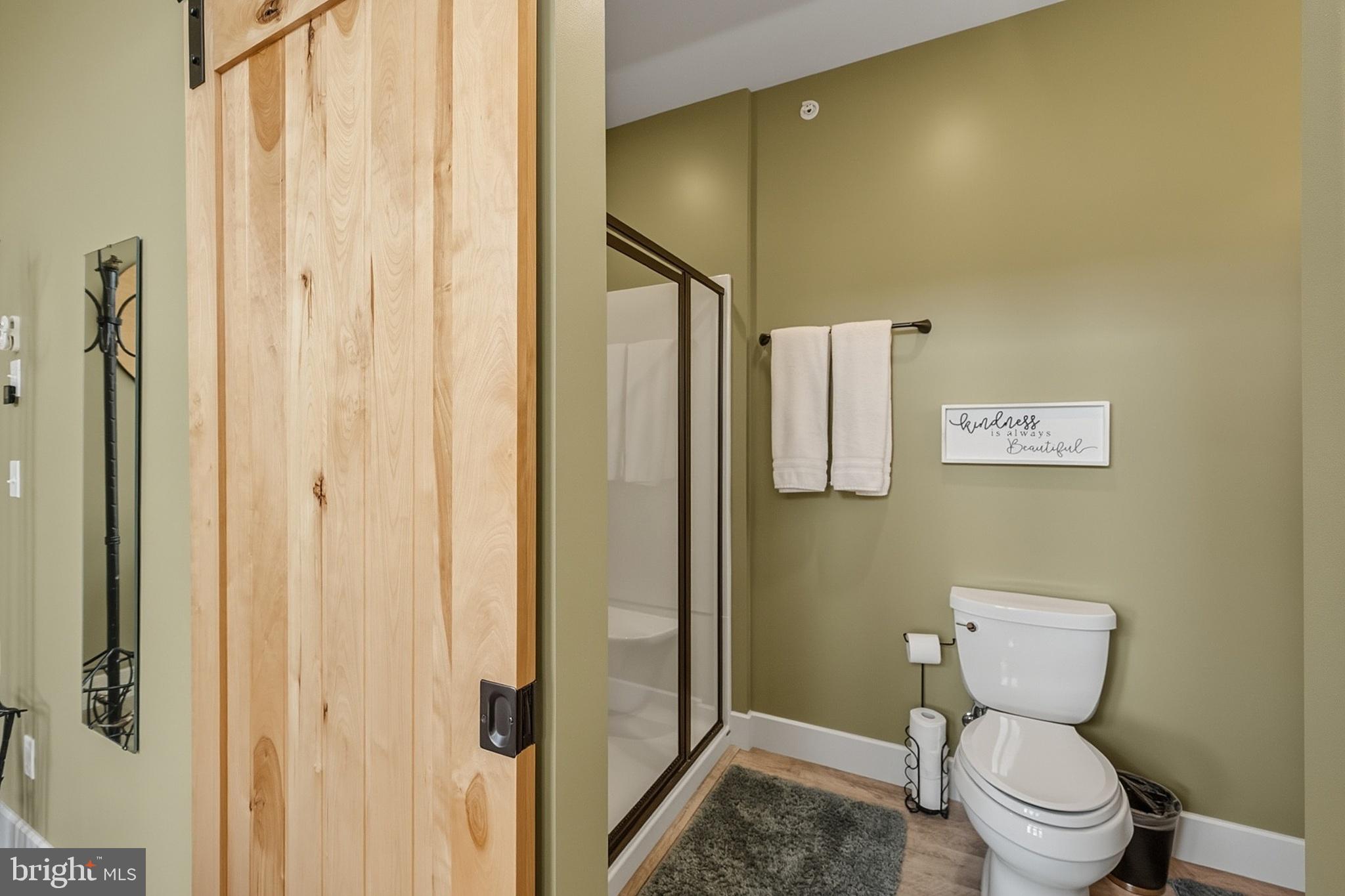 755 Rock Lodge Road McHenry, MD 21541 - Photo 62 of 85 Second ensuite bathroom