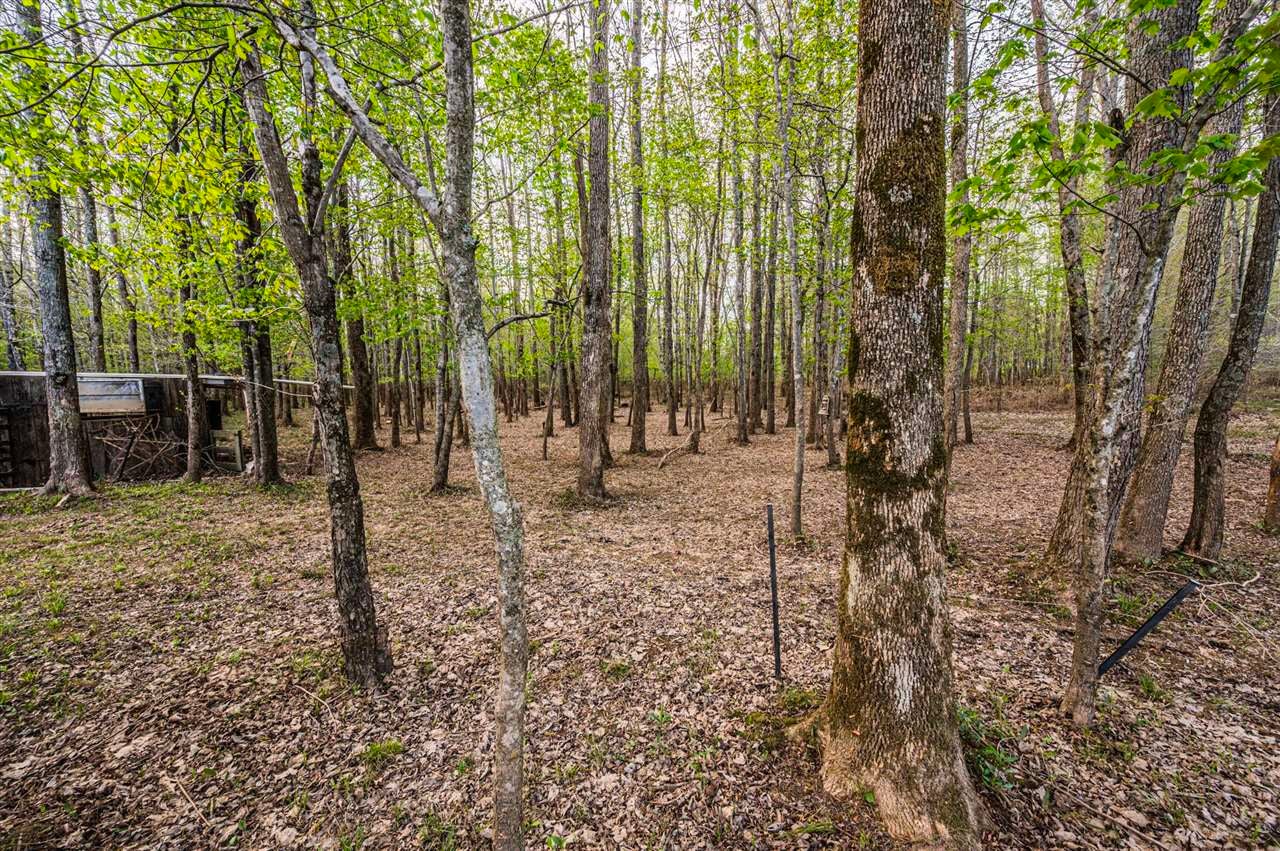 201 M M Johnson Road Smiths Grove, KY 42171 - Photo 27 of 50 Gallery Image 27