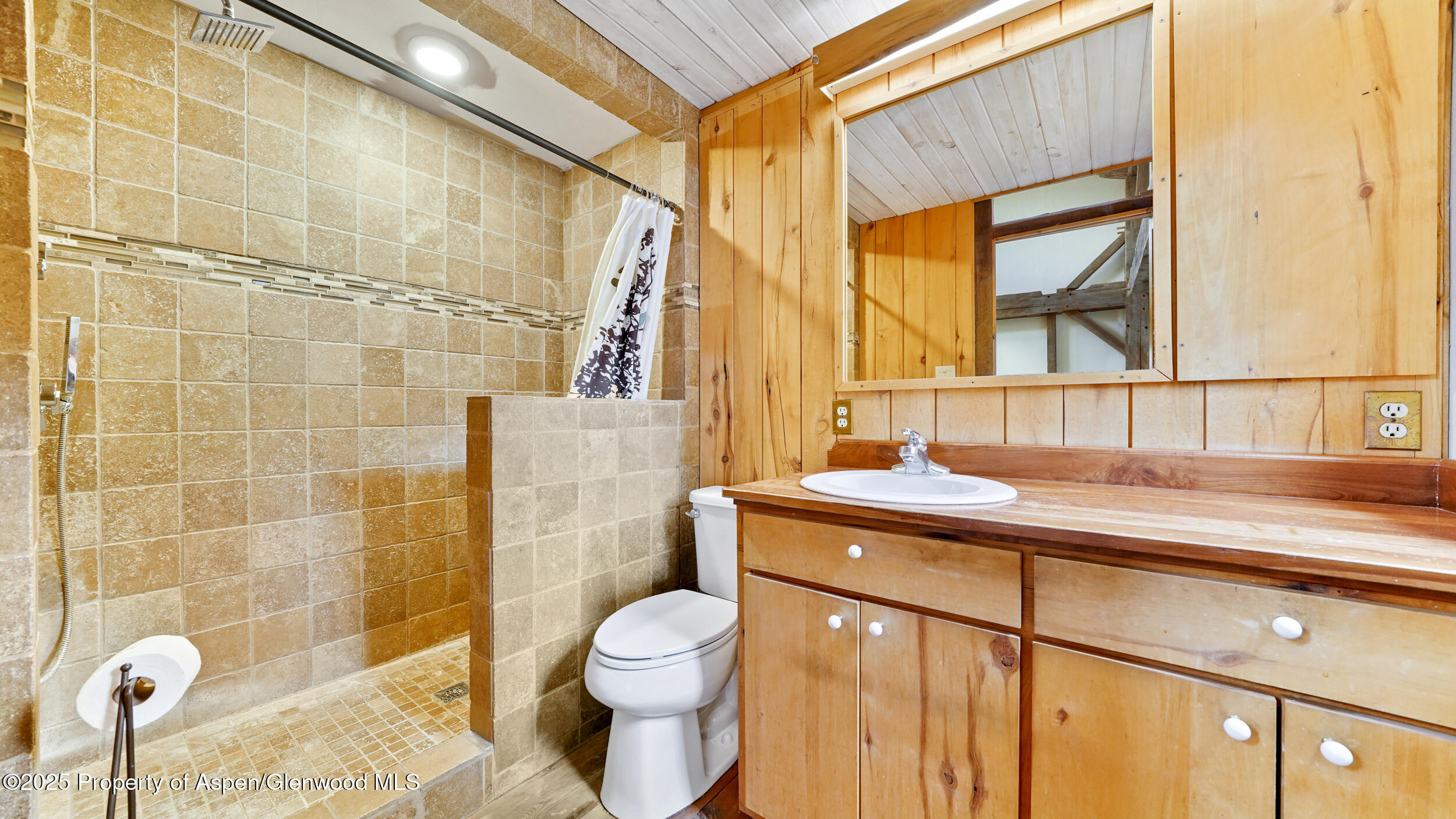 1315 Ruedi Creek Road Basalt, CO 81621 - Photo 17 of 48 a bathroom with a sink a toilet and shower