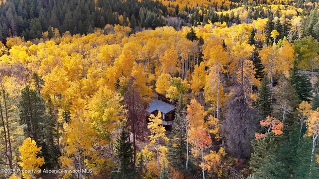 $2,101,315 | 1315 Ruedi Creek Road, Basalt, CO 81621
