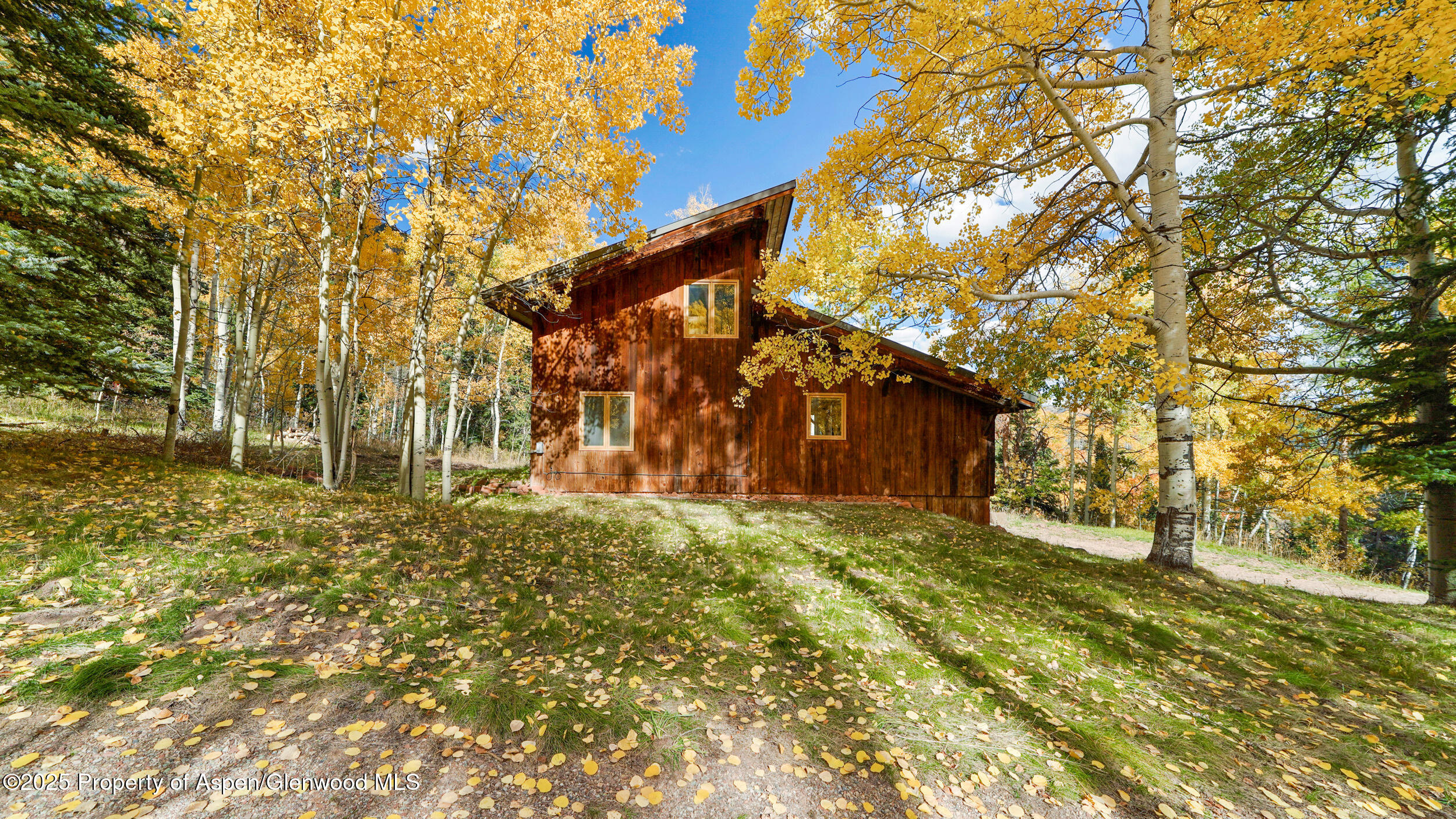 1315 Ruedi Creek Road Basalt, CO 81621 - Photo 7 of 48 a view of a yard with plants and trees