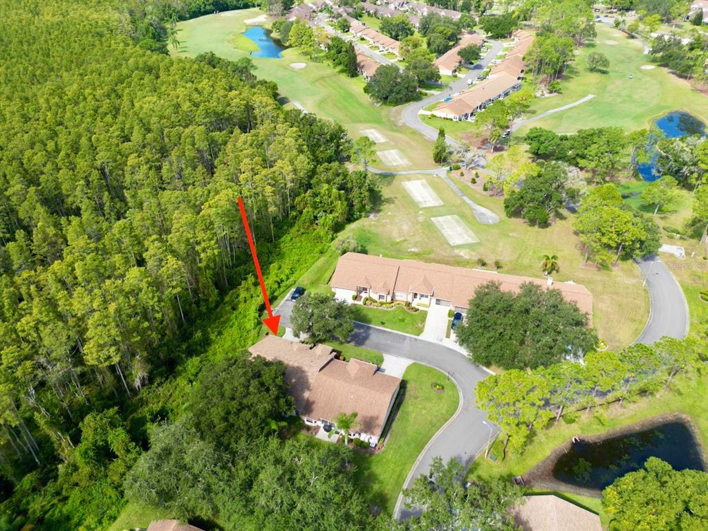 5930 Precious View Court New Port Richey, FL 34655 - Photo 48 of 54 Gallery Image 48