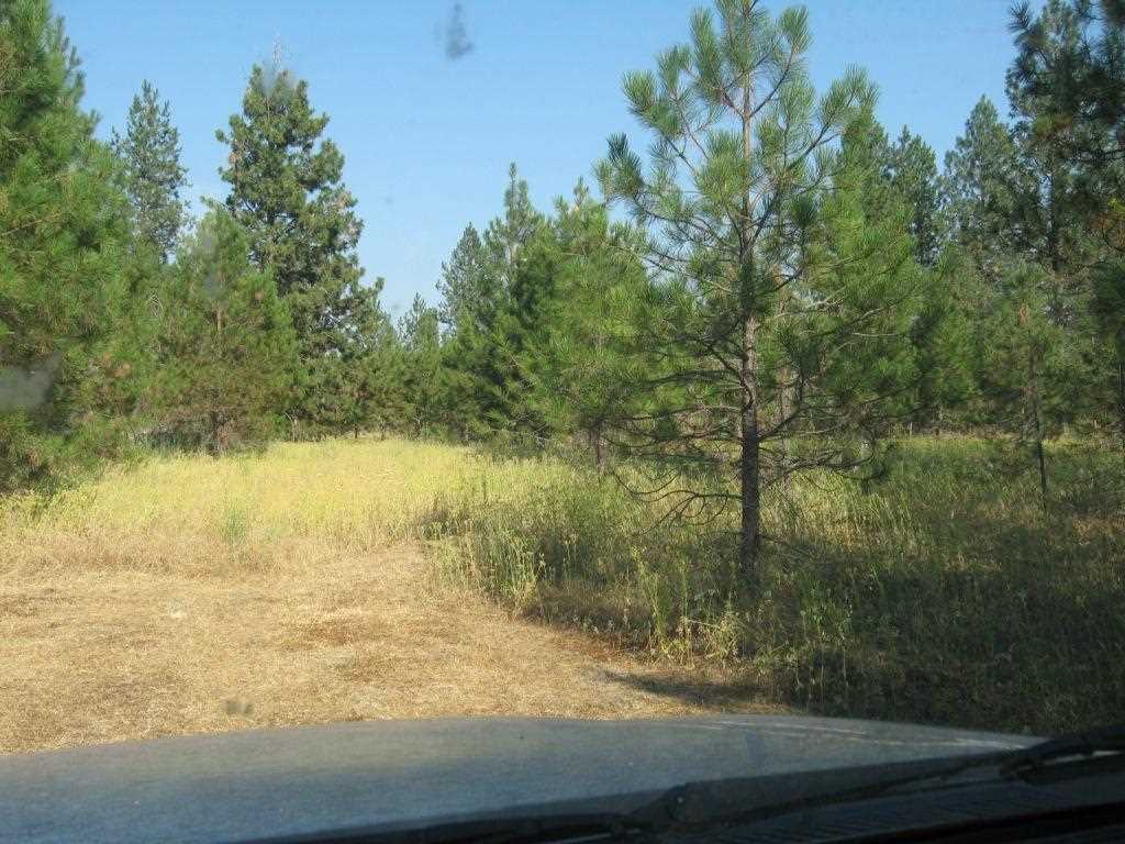 21122 North Myrtle Road Colbert, WA 99005 - Photo 19 of 20