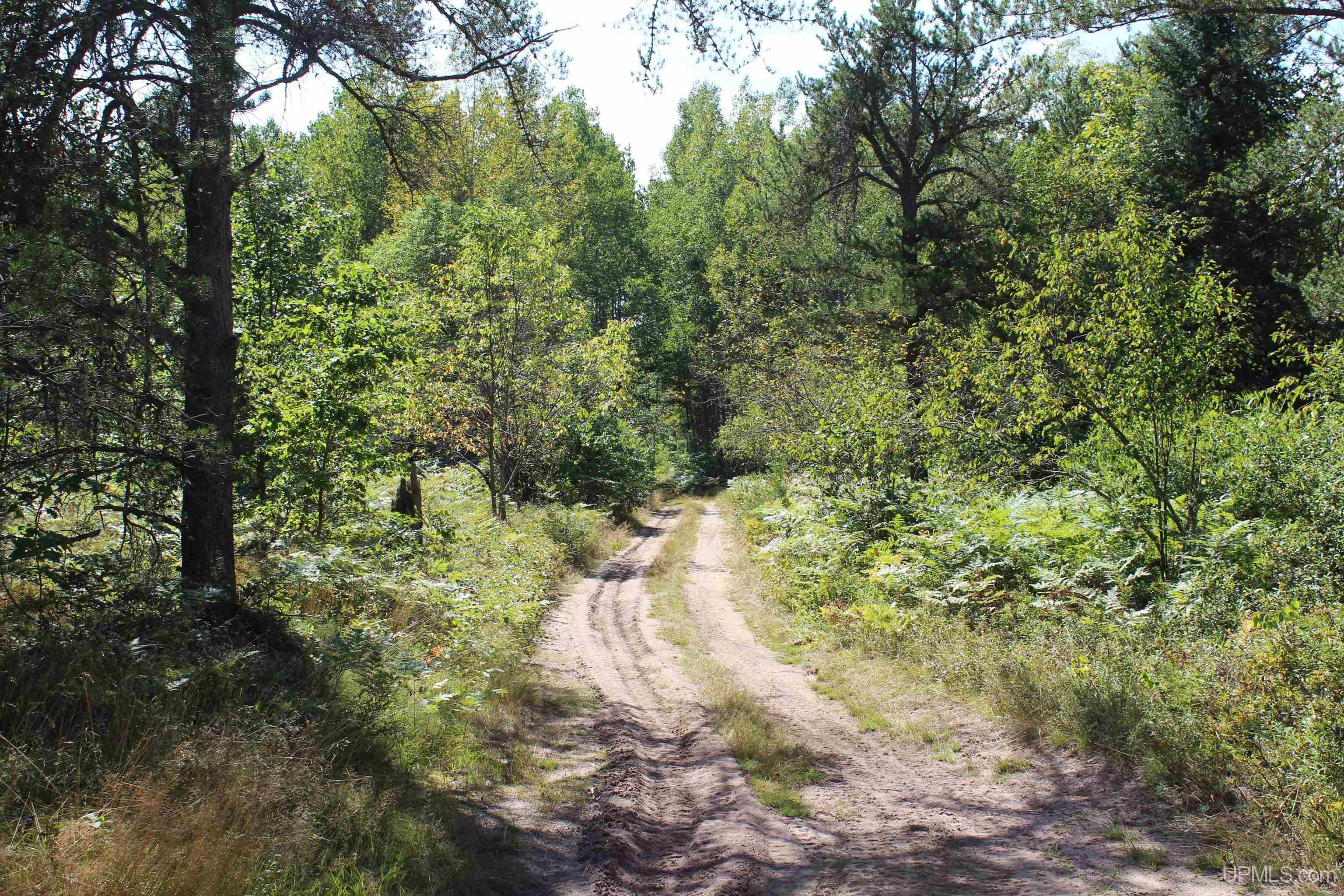 On South Bertrand Lake Road Gwinn, MI 49841 - Photo 16 of 20