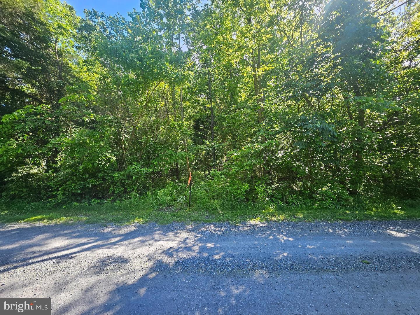 Valley View Drive Strasburg, VA 22657 - Photo 6 of 8 Lot is Wooded, at the top of Valley View Drive