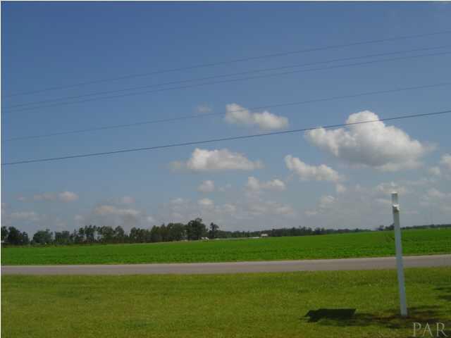2541 Chance Road Molino, FL 32577 - Photo 6 of 18 Extended View From Front Porch