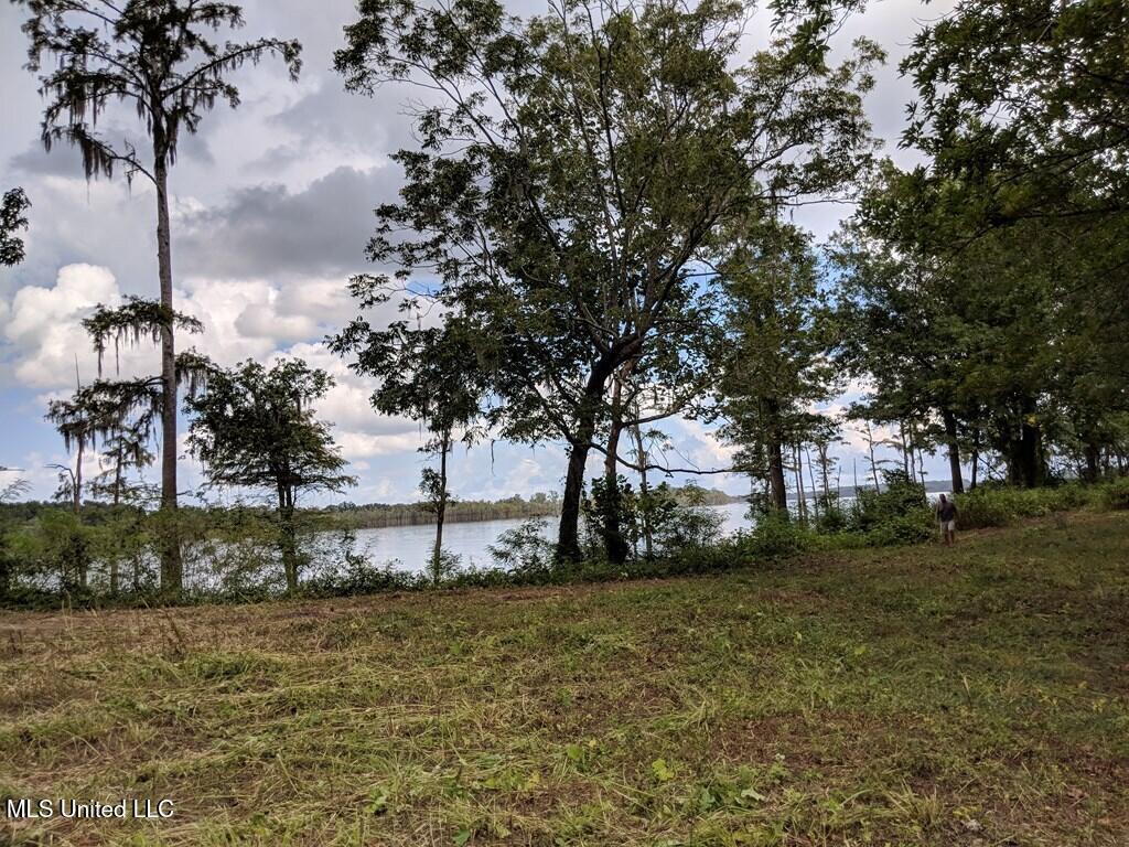 0 Pecan Grove Road Woodville, MS 39669 - Photo 6 of 10 pecan grove 5