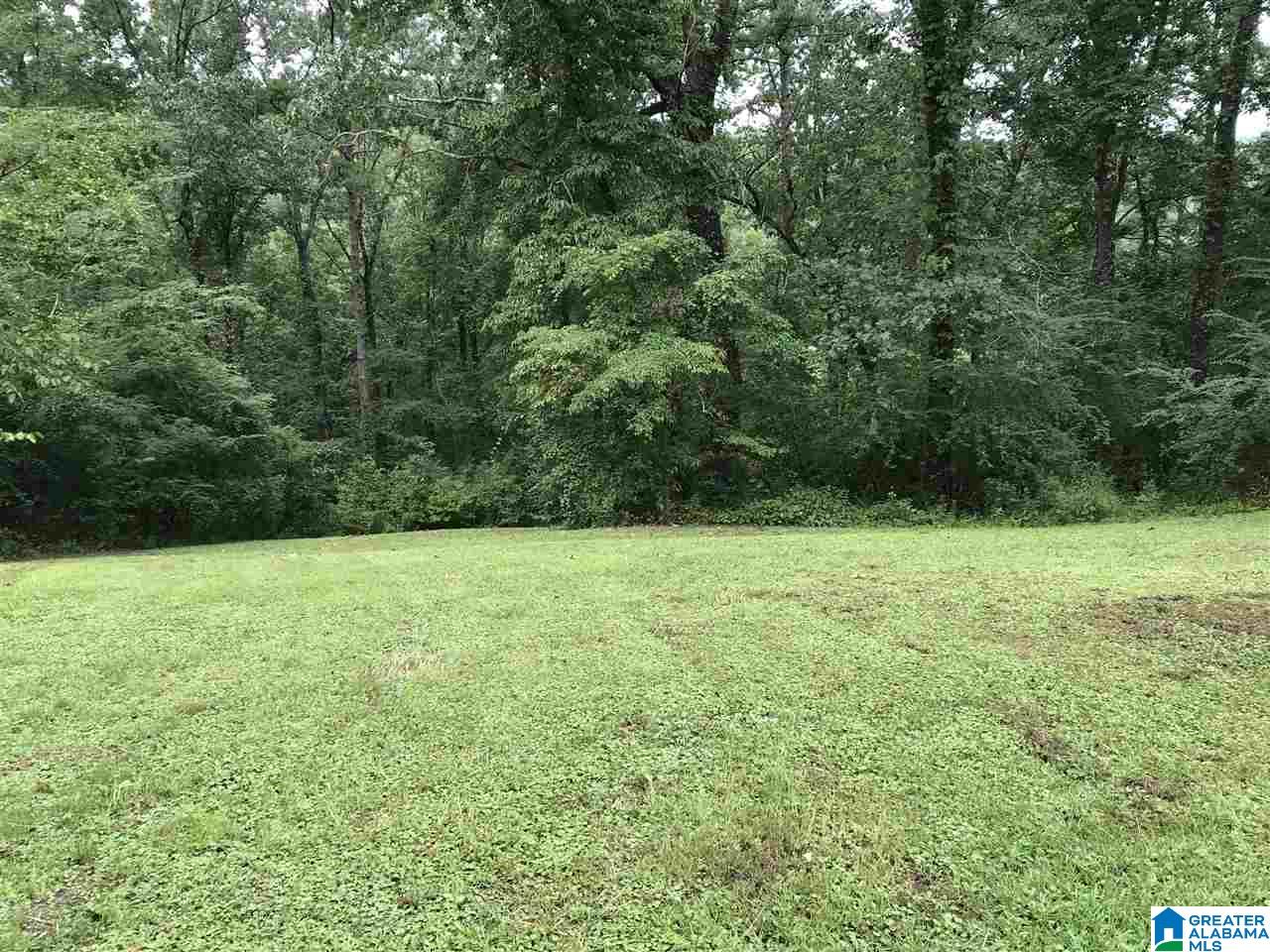 425 Westover Road Harpersville, AL 35078 - Photo 8 of 49