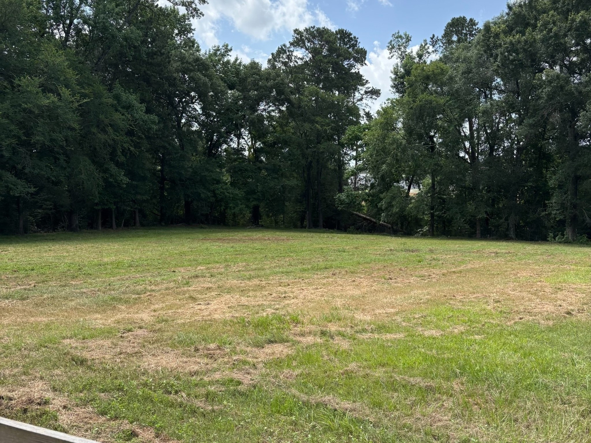5801 Sapp Road Conroe, TX 77304 - Photo 10 of 35 1.77 Acres
