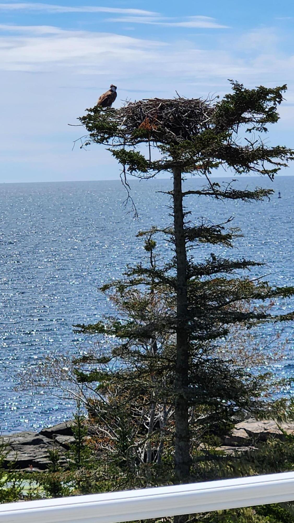 104 Decker Reef Road East Boothbay, ME 04544 - Photo 8 of 8 20240510_112144