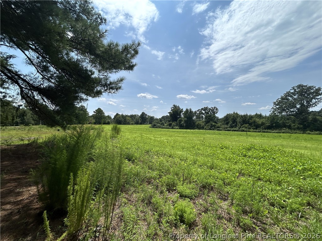 684 Pilson Road Cameron, NC 28326 - Photo 11 of 22 Gallery Image 11