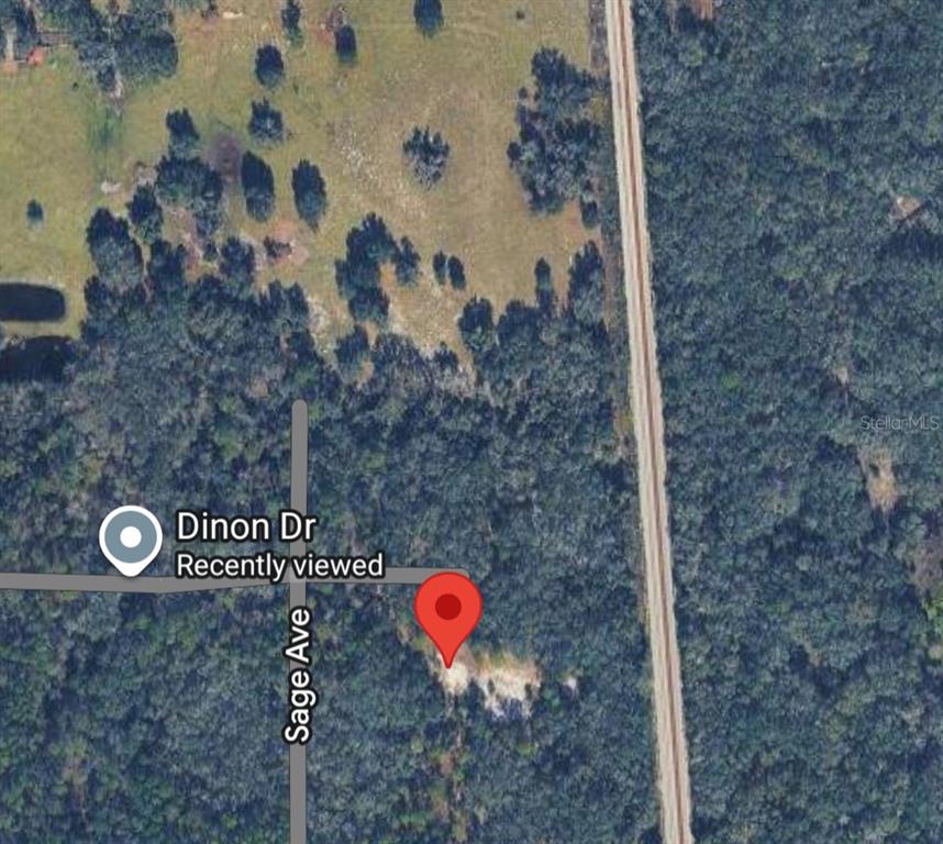 Pinon Drive Webster, FL 33597 - Photo 11 of 19