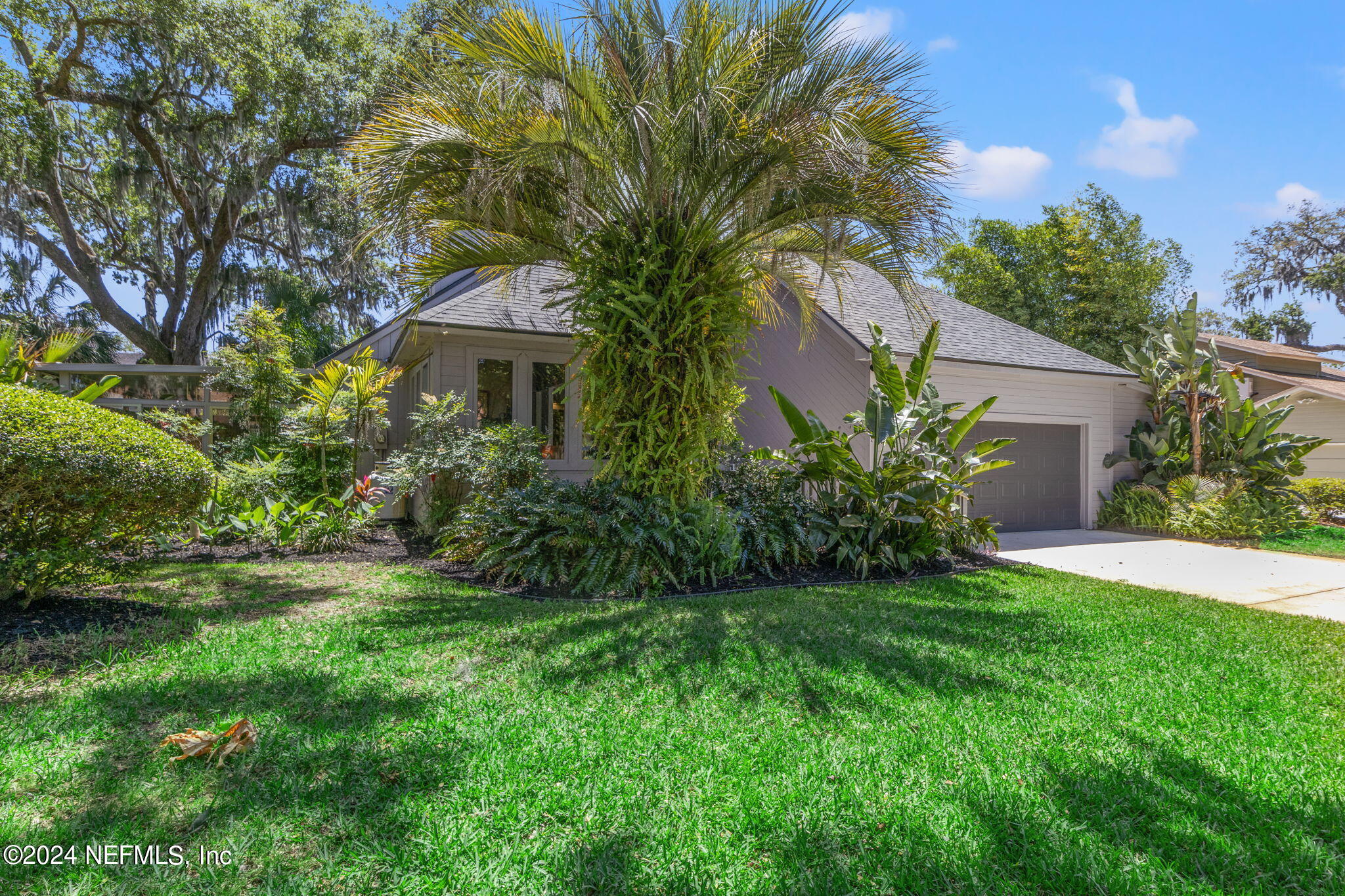 1350 Pinewood Road Jacksonville Beach, FL 32250 - Photo 55 of 55 a view of backyard of house with green space