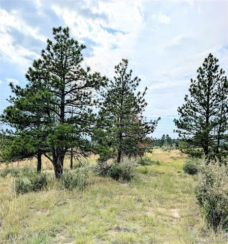 $525,000 | 11634 Bell Cross Circle, Parker, CO 80138