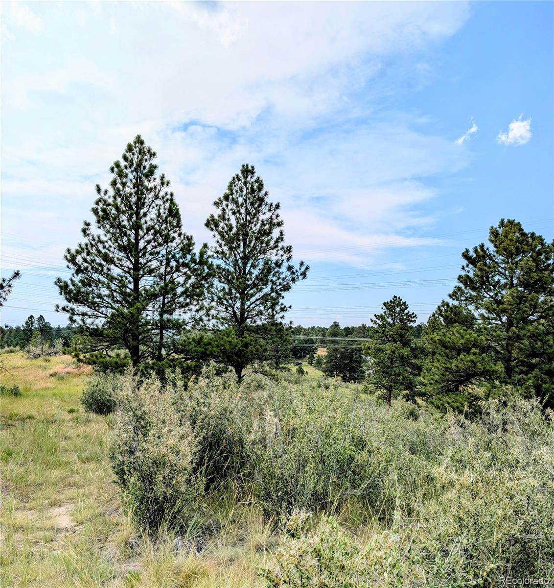 11634 Bell Cross Circle Parker, CO 80138 - Photo 13 of 15