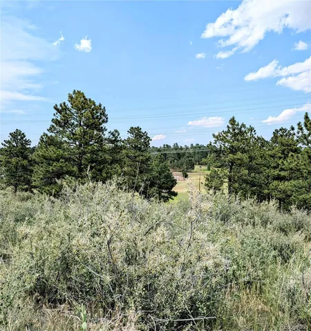 $525,000 | 11634 Bell Cross Circle, Parker, CO 80138