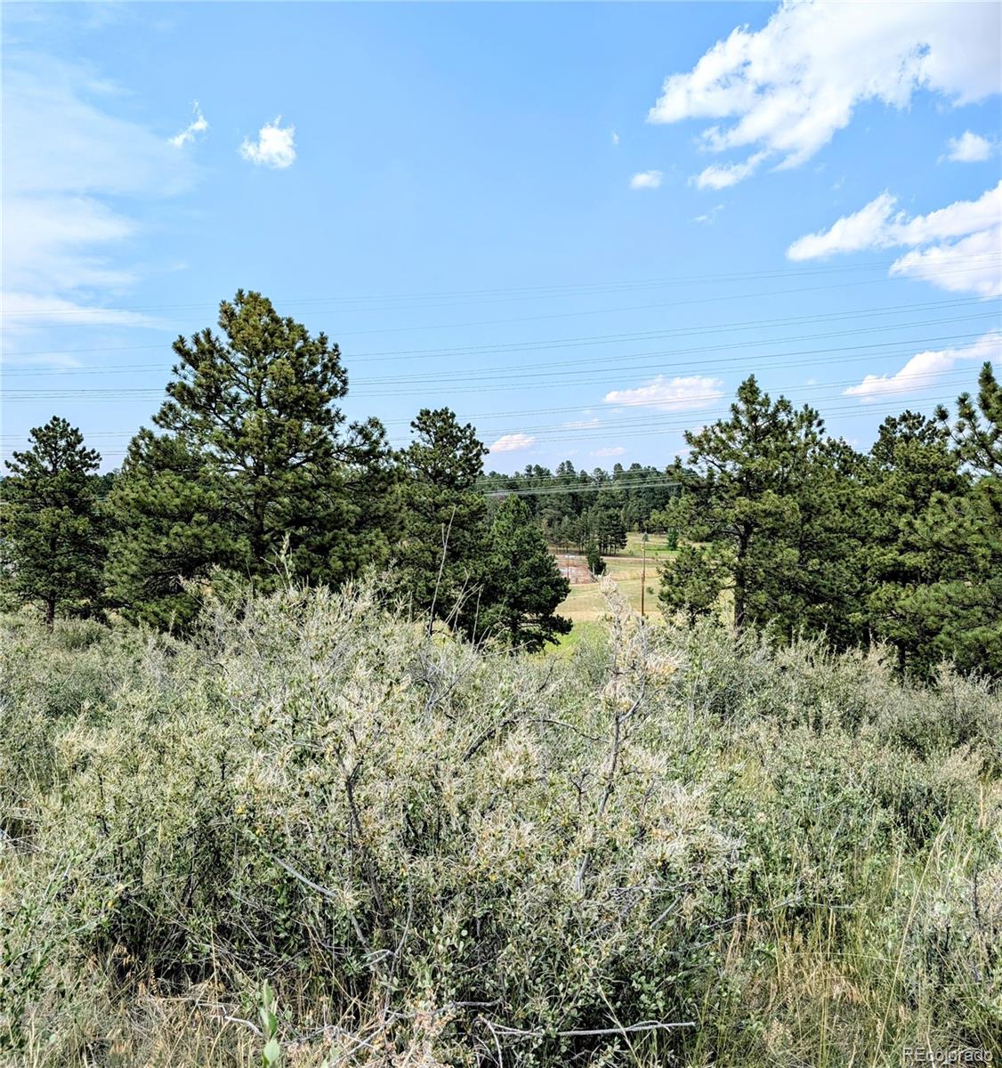 11634 Bell Cross Circle Parker, CO 80138 - Photo 14 of 15