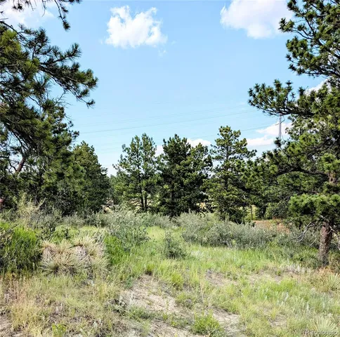 $525,000 | 11634 Bell Cross Circle, Parker, CO 80138