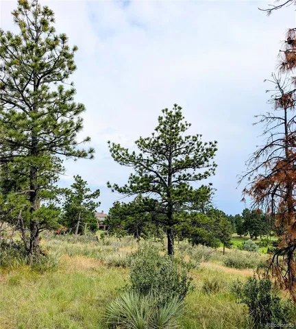 $525,000 | 11634 Bell Cross Circle, Parker, CO 80138