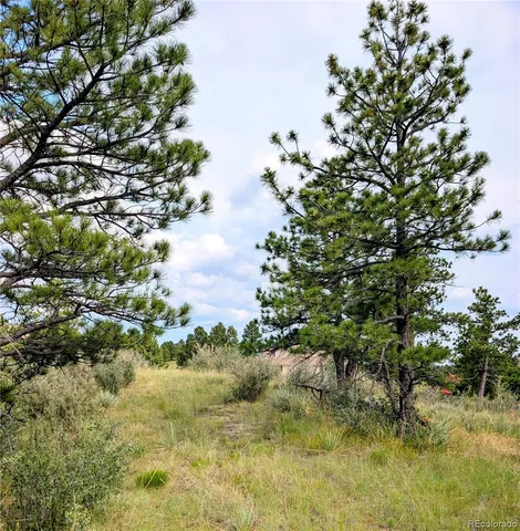 $525,000 | 11634 Bell Cross Circle, Parker, CO 80138