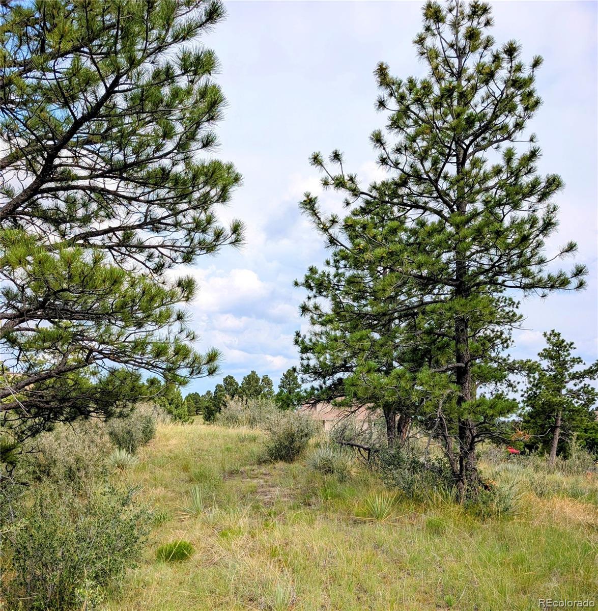 11634 Bell Cross Circle Parker, CO 80138 - Photo 8 of 15