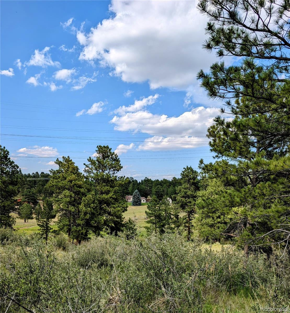 11634 Bell Cross Circle Parker, CO 80138 - Photo 9 of 15