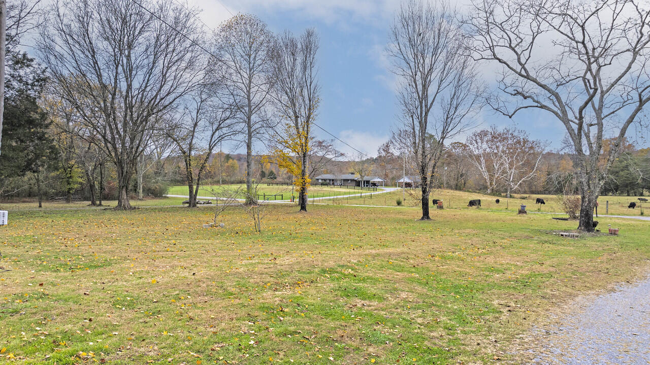 12226 North Nopone Valley Road Decatur, TN 37322 - Photo 3 of 44 nvp41