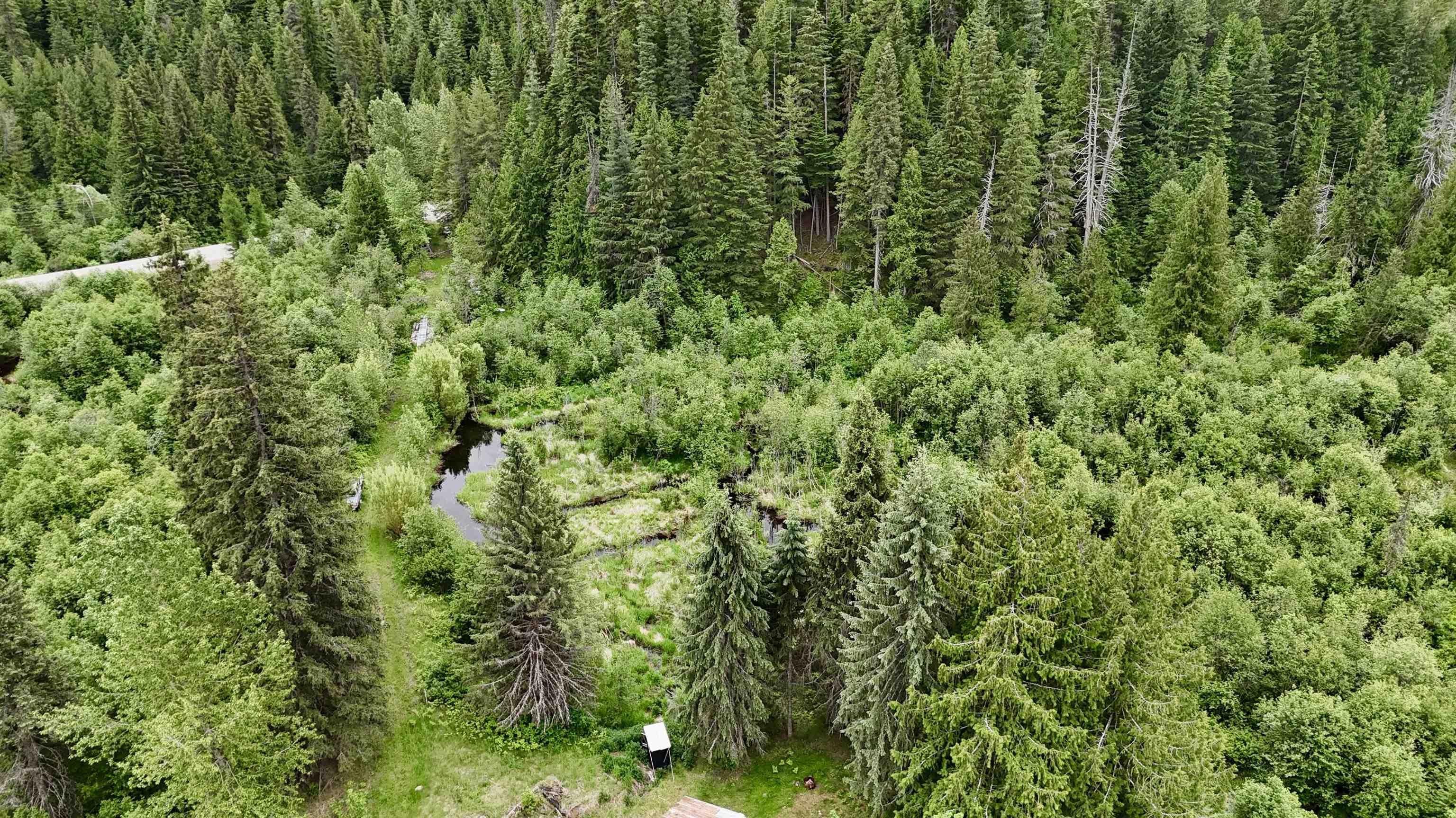 1851 Boundary Road Metaline Falls, WA 99153 - Photo 16 of 34